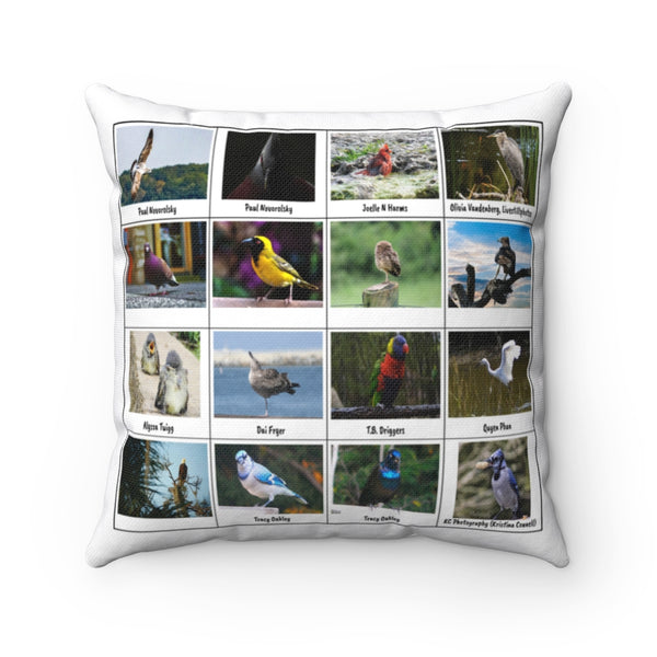 Extraordinary Bird Photography (Version 5)