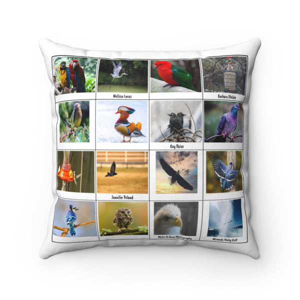 Sensational Bird Photography (Version 6)