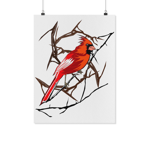 Northern Cardinal Bird Poster