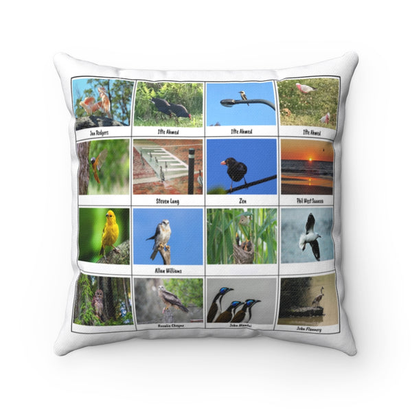 Grand Bird Photography (Version 7)