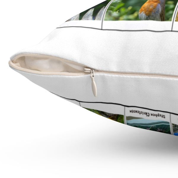 Pleasant Bird Photography (Version 3)