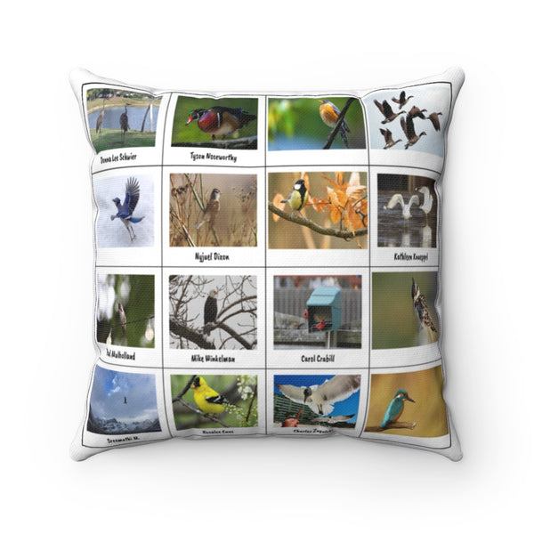Unbelievable Bird Photography (Version 5)