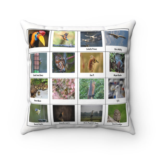 Spectacular Bird Photography (Version 6)