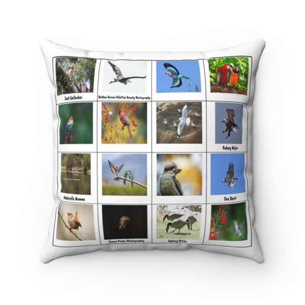 Glorious Bird Photography (Version 7)