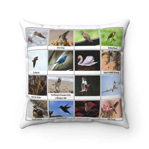 Remarkable Birds (Version 1)