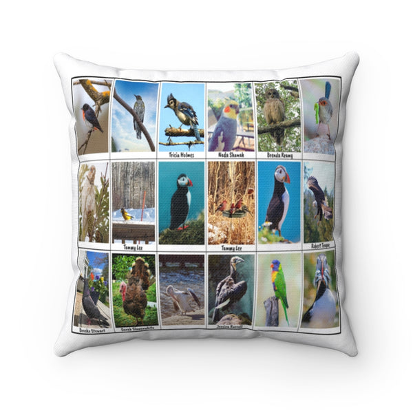 Bird Photography (Version 5)