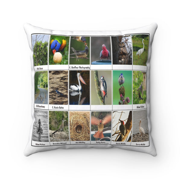Pleasant Bird Photography (Version 6)