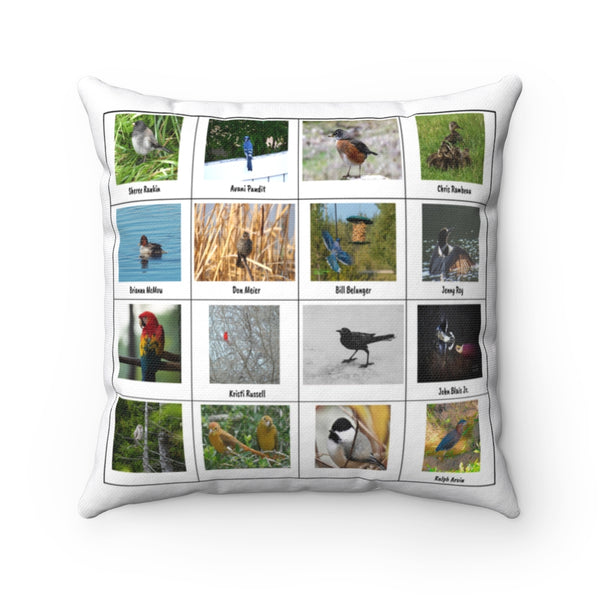 Dazzling Bird Photography (Version 8)