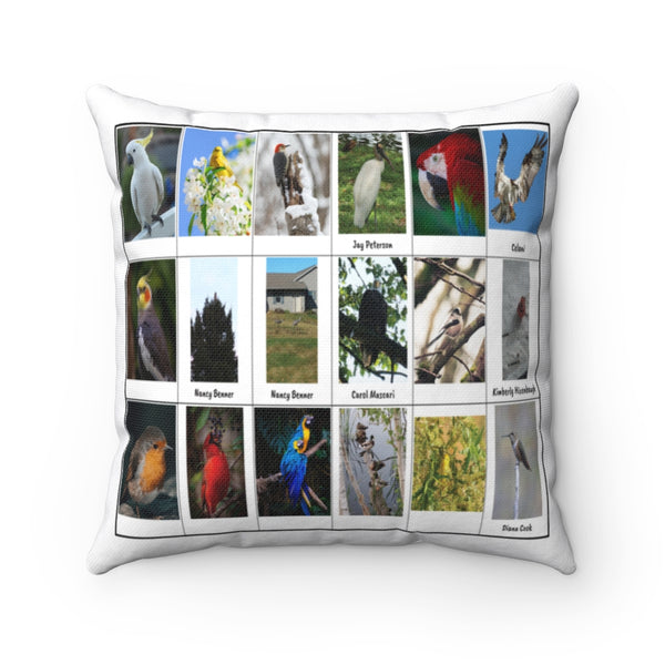 Phenomenal Bird Photography (Version 5)