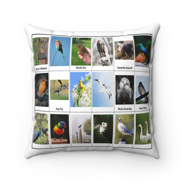 Excellent Bird Photography (Version 7)