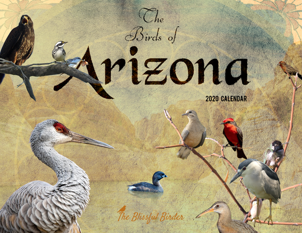 The Birds of Arizona: 2020 Calendar