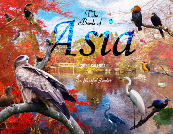 The Birds of Asia: 2020 Calendar