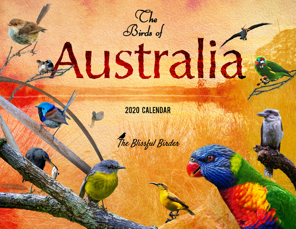 The Birds of Australia: 2020 Calendar