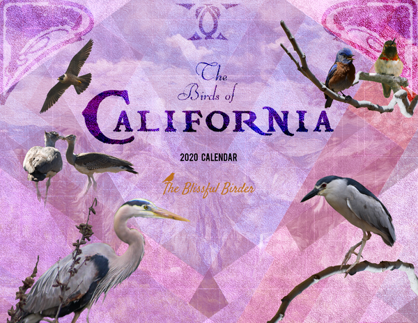 The Birds of California: 2020 Calendar