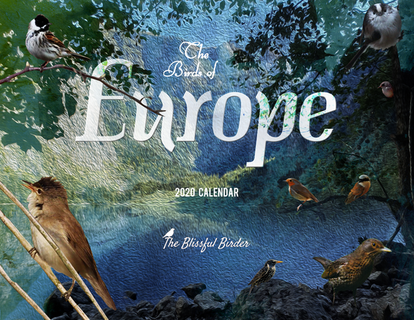 The Birds of Europe: 2020 Calendar