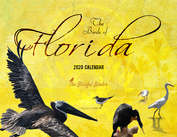 The Birds of Florida: 2020 Calendar