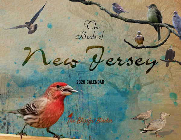 The Birds of New Jersey: 2020 Calendar