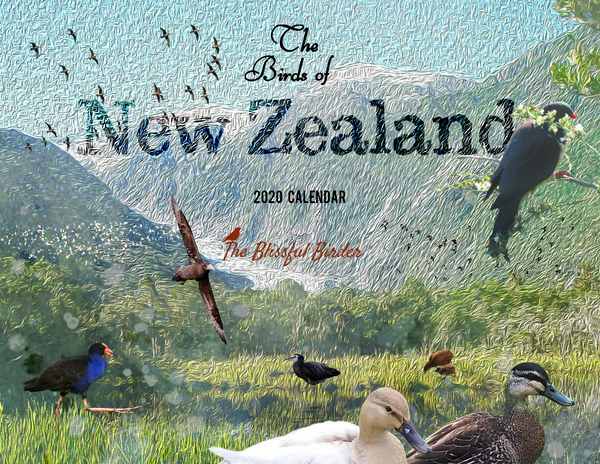 The Birds of New Zealand