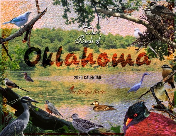 The Birds of Oklahoma: 2020 Calendar