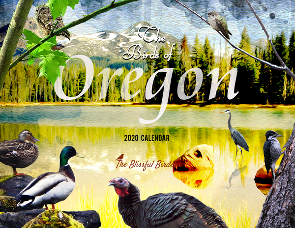 The Birds of Oregon: 2020 Calendar
