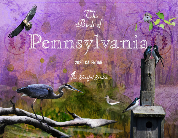 The Birds of Pennsylvania: 2020 Calendar