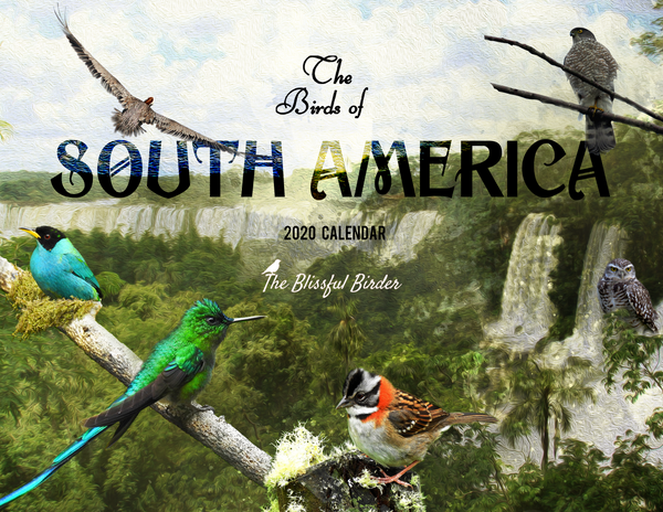 The Birds of South America: 2020 Calendar