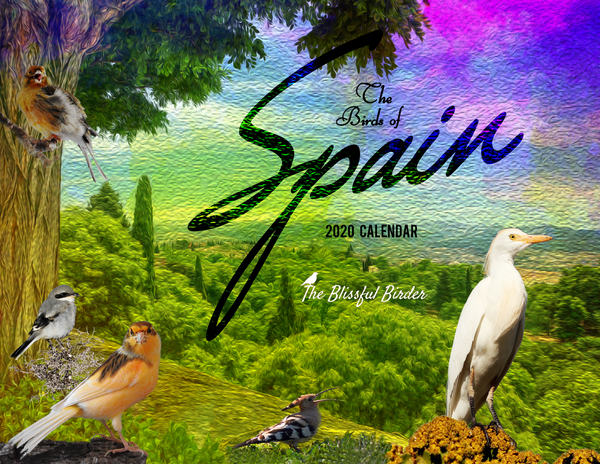 The Birds of Spain: 2020 Calendar