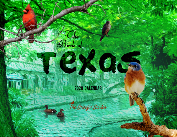 The Birds of Texas: 2020 Calendar