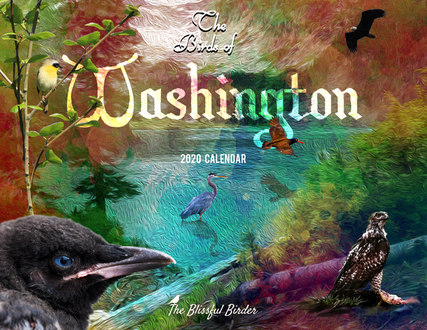 The Birds of Washington: 2020 Calendar