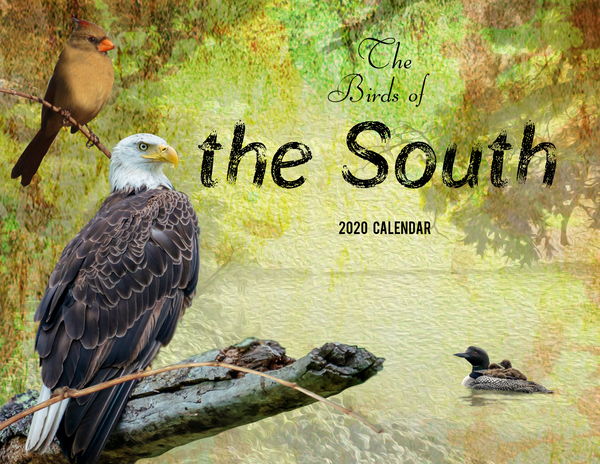 The Birds of the South: 2020 Calendar