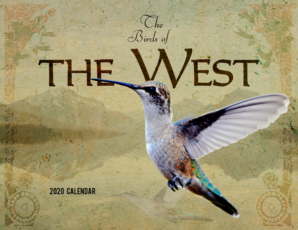 The Birds of the West: 2020 Calendar