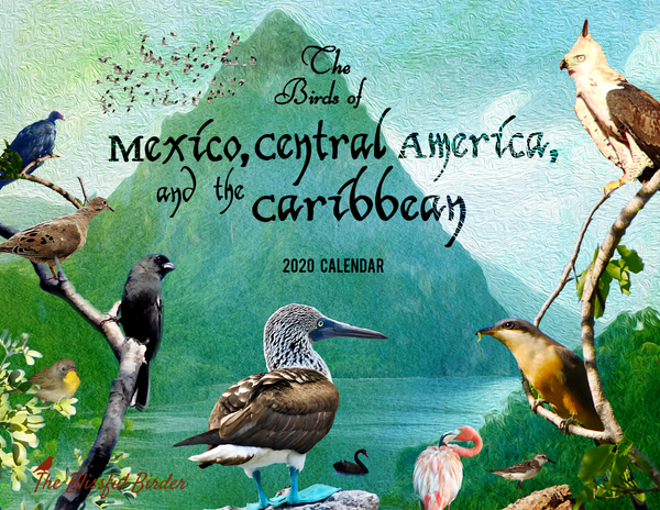The Birds of Mexico, Central America, and the Caribbean: 2020 Calendar