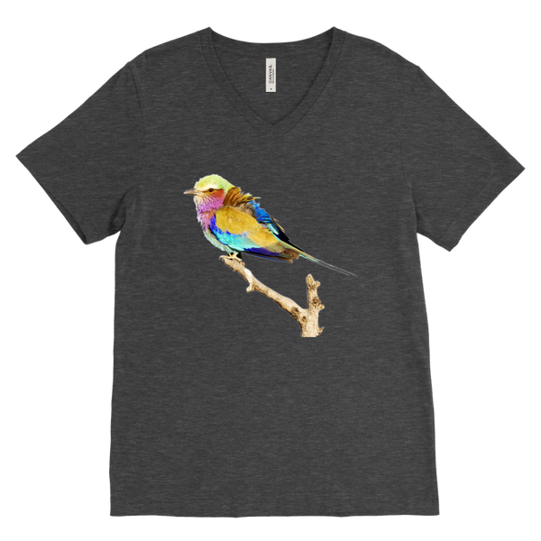 Lilac-breasted Roller Canvas Mens V-Neck