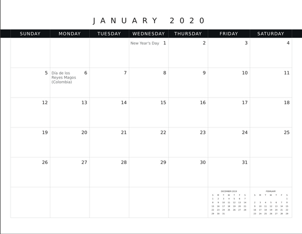 The Birds of South America: 2020 Calendar