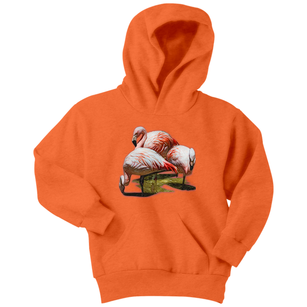 Flamingo Youth Hoodie
