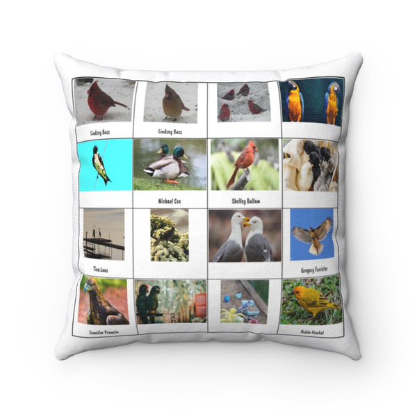 Special Bird Photography (Version 6)