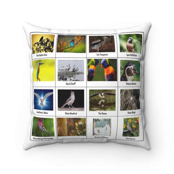 Unbelievable Bird Photography (Version 2)