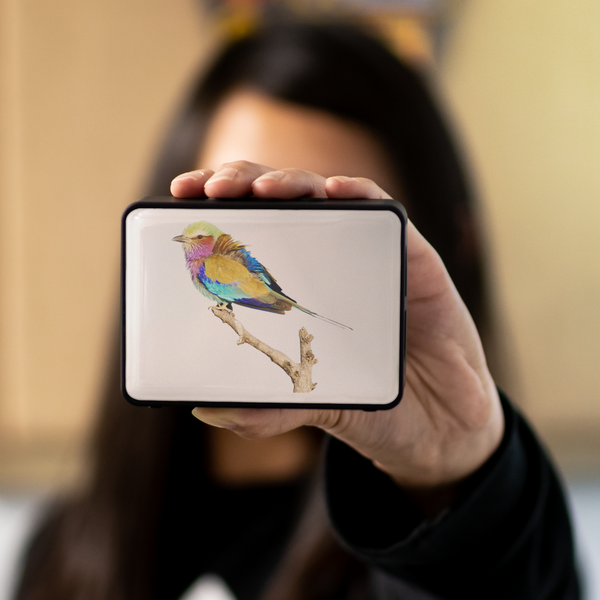 Lilac-breasted Roller Bluetooth Speaker Boxanne