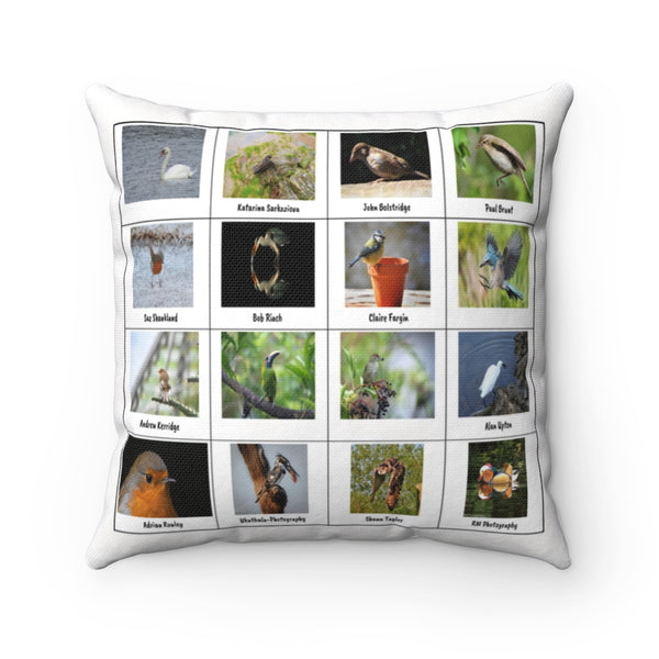 Spectacular Bird Photography (Version 3)