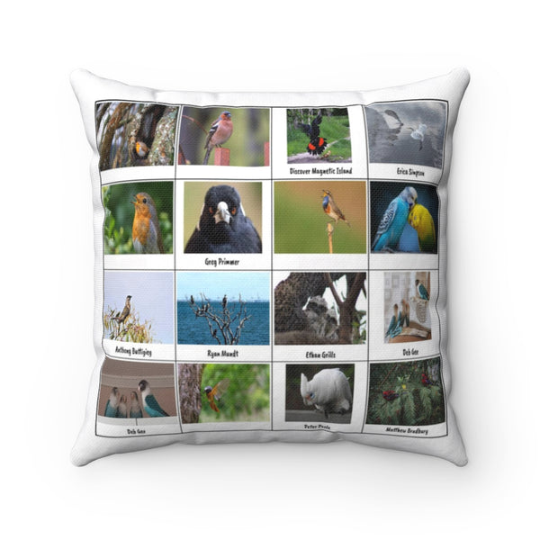 Amazing Birds (Version 6)