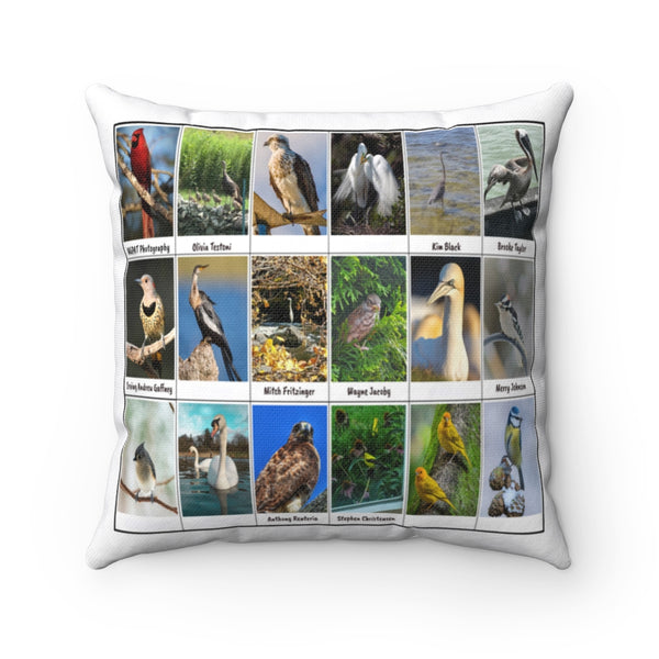 Pleasant Bird Photography (Version 3)