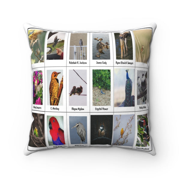 Unbelievable Bird Photography (Version 4)