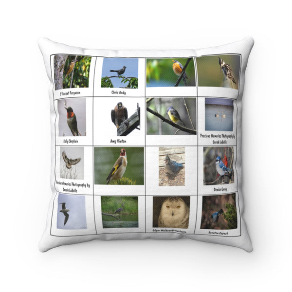 Phenomenal Bird Photography (Version 8)