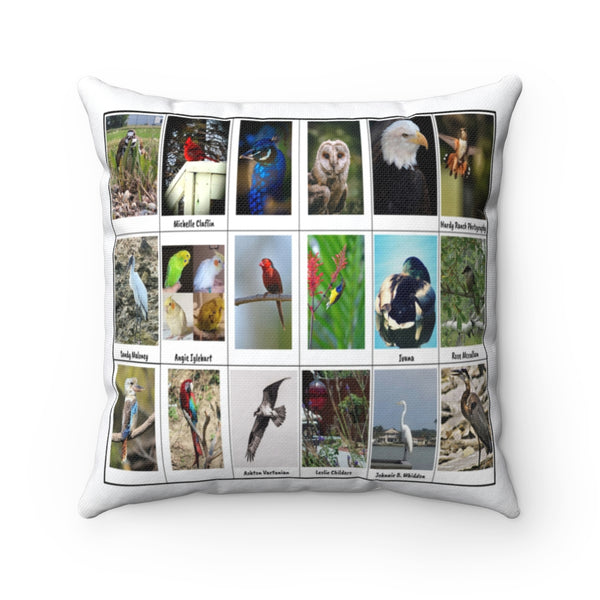 Marvelous Bird Photography (Version 4)