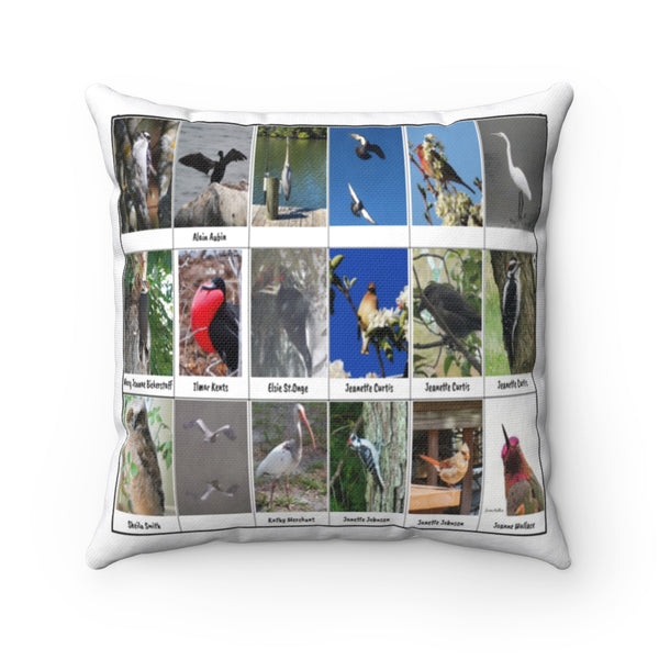 Lovely Bird Photography (Version 4)