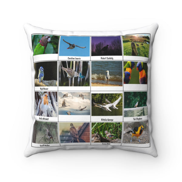 Fabulous Bird Photography (Version 3)
