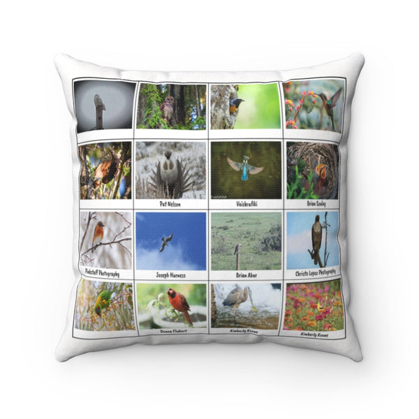 Fascinating Bird Photography (Version 4)