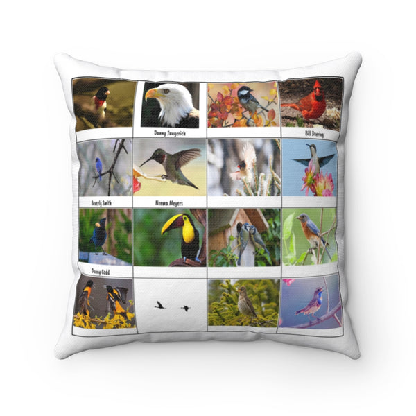 Amazing Bird Photography (Version 3)