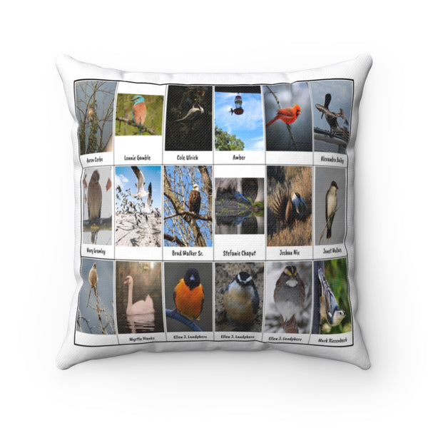 Special Bird Photography (Version 6)