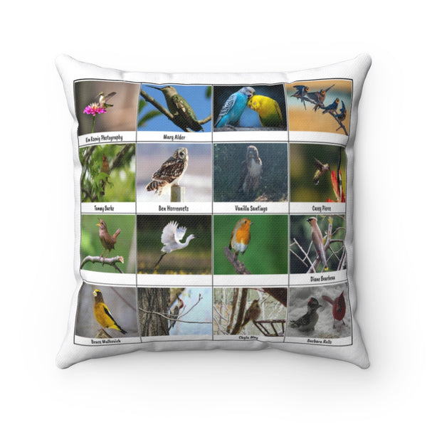 Amazing Bird Photography (Version 4)